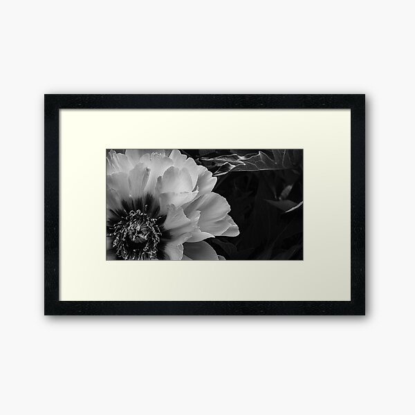 Item preview, B&W designed and sold by Brian Byrd.
