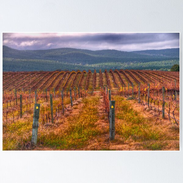 Item preview, The Silence Of The Lambs - Vineyards Near Tumbarumba NSW The HDR Experience designed and sold by Salieri1627.