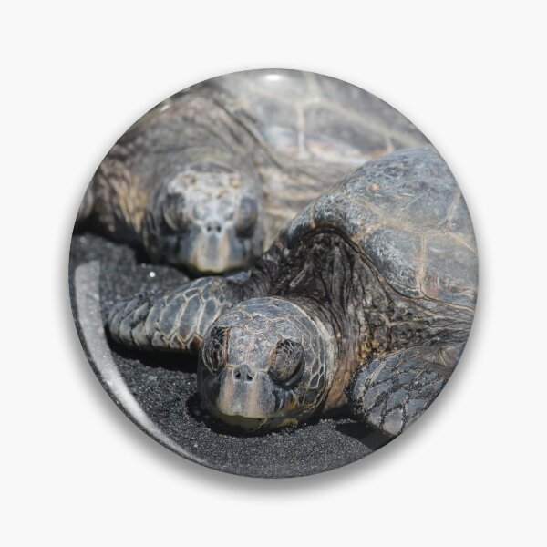 Item preview, Green Sea Turtles in Hawaii designed and sold by DebraBarnes.