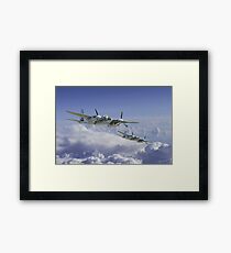 Mosquito Patrol Framed Print