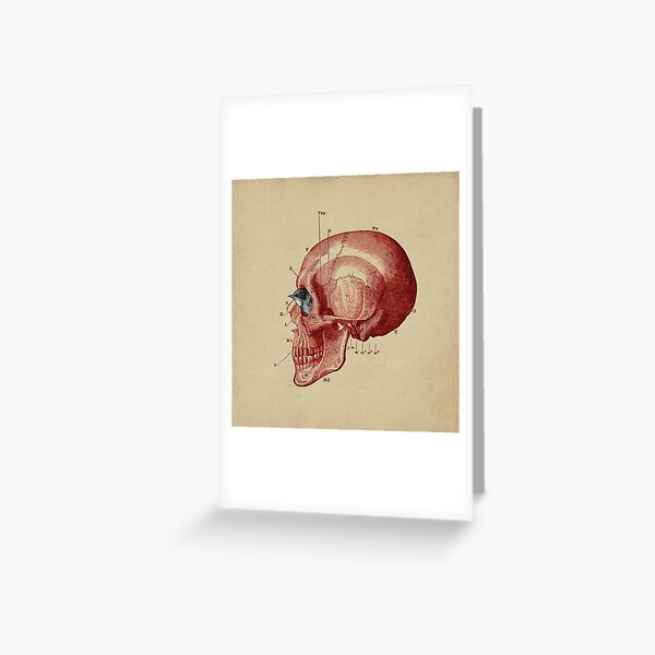 CANTO DE GOLONDRINAS COMO METAL CRUDO (vr.5) Greeting Card