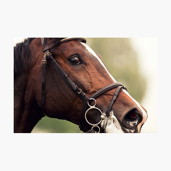 I have my eye on Youuuu Photographic Print