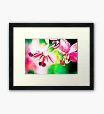 Water-colours painting by a camera:) Framed Print