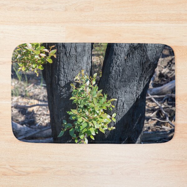 Item preview, australian bushfires new growth designed and sold by Martin Berry Photography.