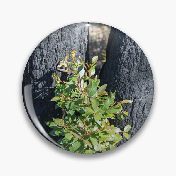 Item preview, australian bushfires new growth designed and sold by Martin Berry Photography.