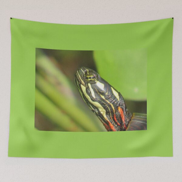 Item preview, Close Up! designed and sold by JoanneKenney.