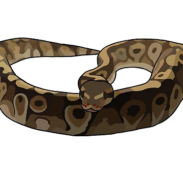 Artwork thumbnail, Ball Python Sticker by Anna Howell