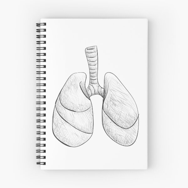 Item preview, Lungs designed and sold by ewoio.