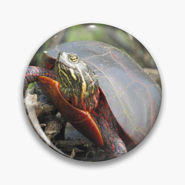 Item preview, Happy Turtle! designed and sold by JoanneKenney.
