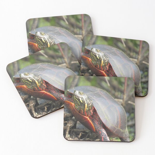 Item preview, Happy Turtle! designed and sold by JoanneKenney.