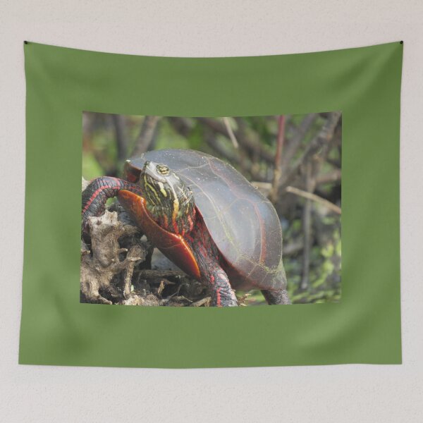 Item preview, Happy Turtle! designed and sold by JoanneKenney.