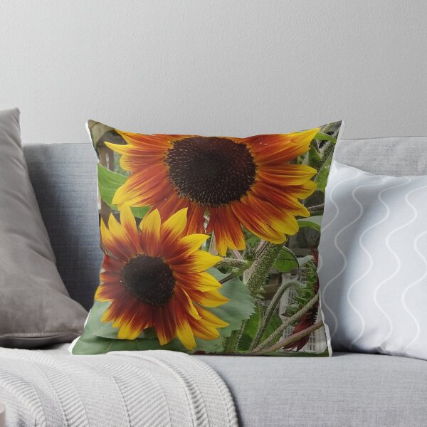 Item preview, Sunflower of different Coloring designed and sold by DonnaHancock.