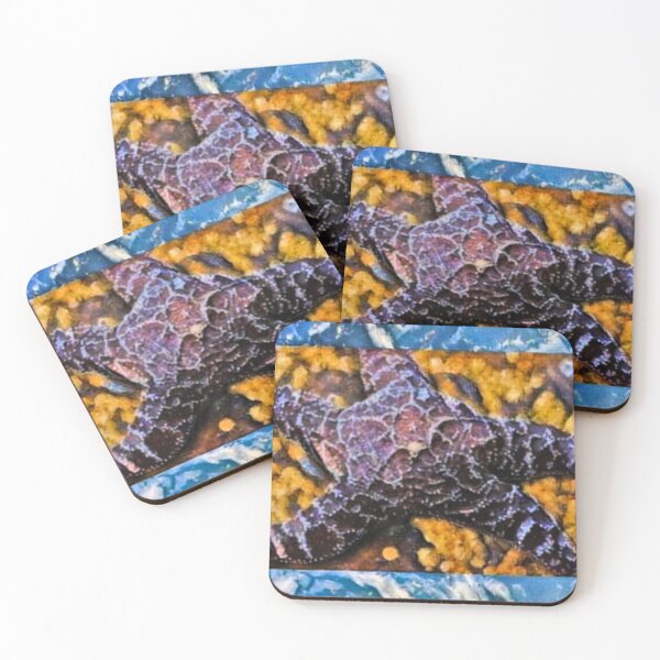Item preview, Star fish Pacific Coast designed and sold by Aquila Light Pictures.