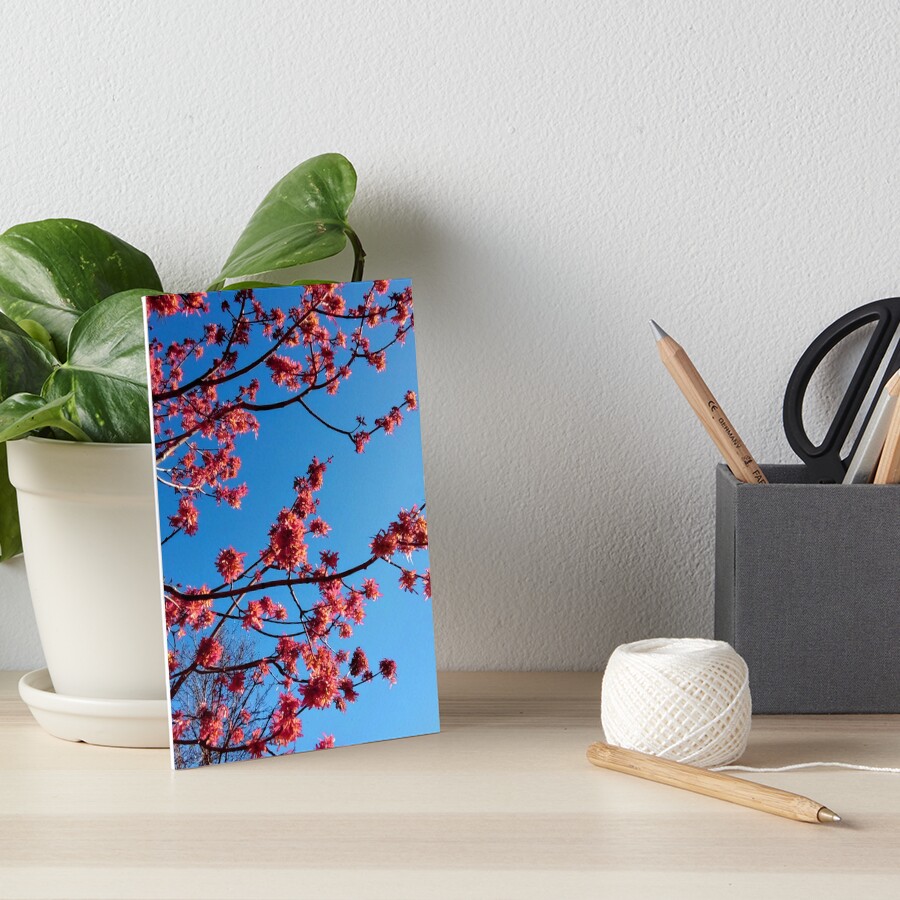 Item preview, Art Board Print designed and sold by mn-imagerie.