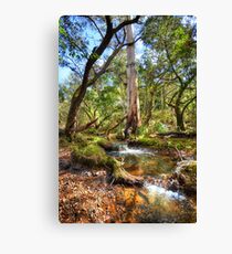 Utopia Canvas Print