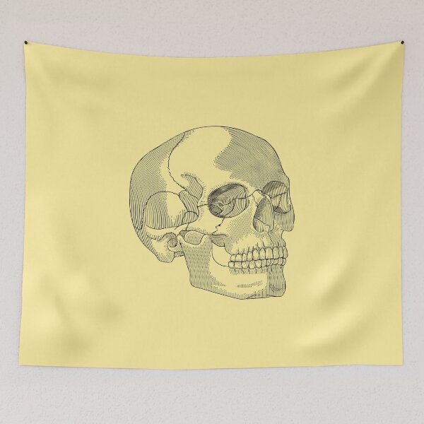 Item preview, Skull designed and sold by ewoio.