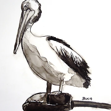 Imagen de la obra Pelican study on yupo de Dianne Ilka