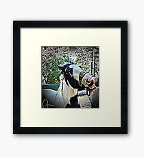 "You Make Me Smile" Framed Print