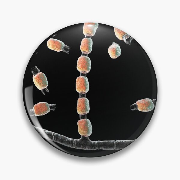 Item preview, COCCIDIODES FUNGI MICROSCOPIC IMAGE PHOTO...Micro designed and sold by Hippiesole.
