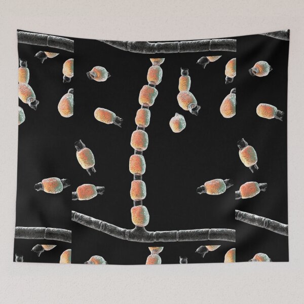 Item preview, COCCIDIODES FUNGI MICROSCOPIC IMAGE PHOTO...Micro designed and sold by Hippiesole.