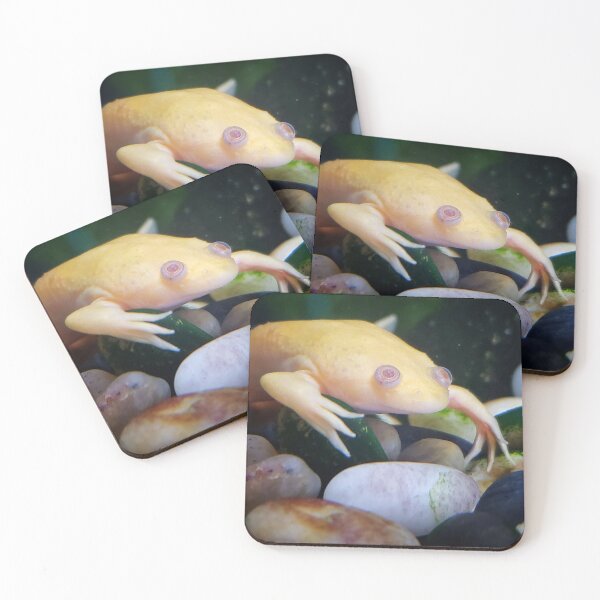 Item preview, African Clawed Frog designed and sold by Dead-Moroz.