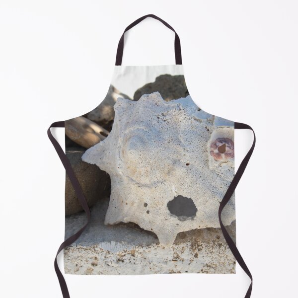 Item preview, Elemental Seashell } designed and sold by Elena Ray.