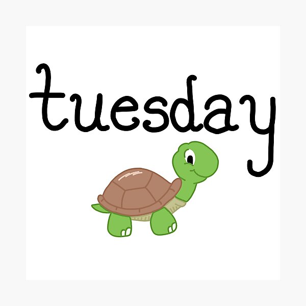 Item preview, Tuesday Turtle designed and sold by Sara Bee.
