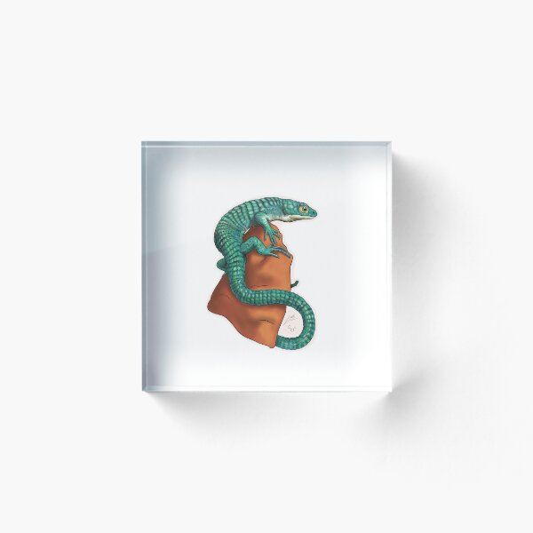 Aperçu de l'œuvre Lézard crocodile mexicain créée et vendue par Bugbean.