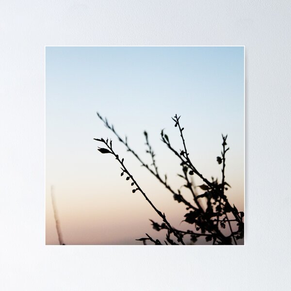 Nuances Poster