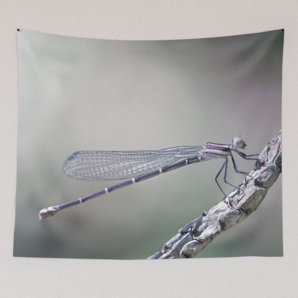 Item preview, defining serenity designed and sold by blacqbook.