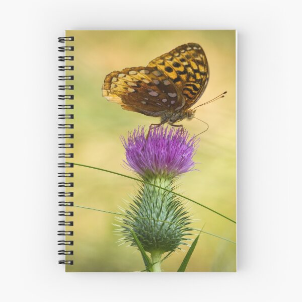 Item preview, Fritillary On Thistle 2013-2 designed and sold by Thomasyoung.