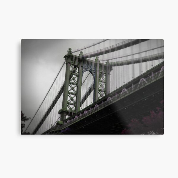 NY in 20 pics: #4 Metal Print
