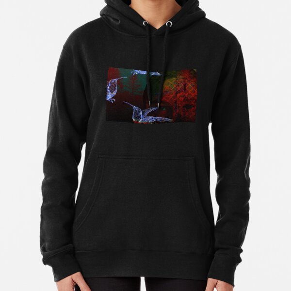 Amnesty! Pullover Hoodie