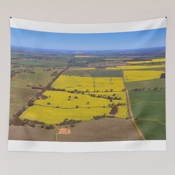 Item preview, Fields of gold: canola,Western Australia,Australia designed and sold by FranWest.