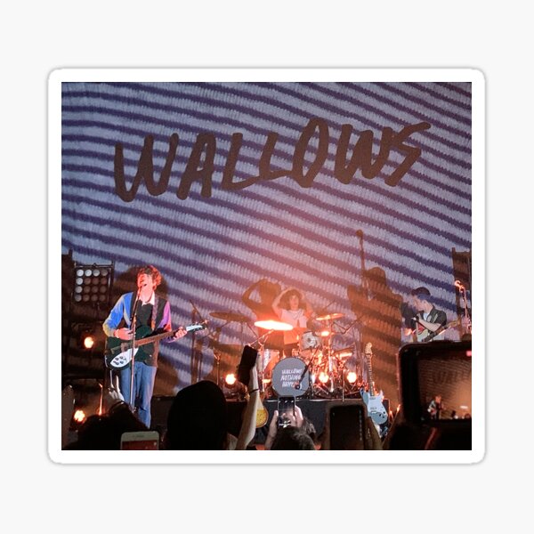 wallows Sticker