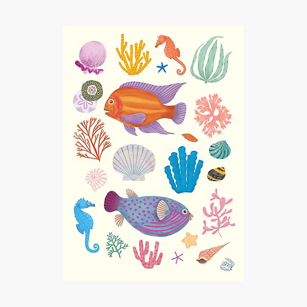 Sea Life Photographic Print