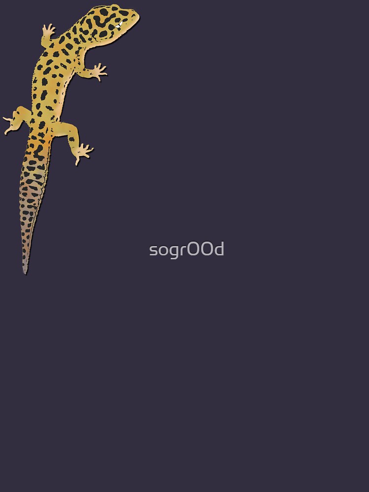 Leopard Gecko by sogr00d