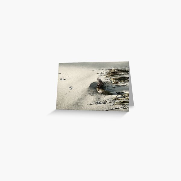 Paws for Thought Greeting Card