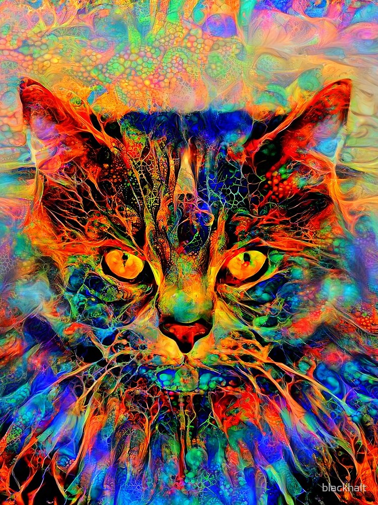 Abstractions of abstract abstraction of cat by blackhalt