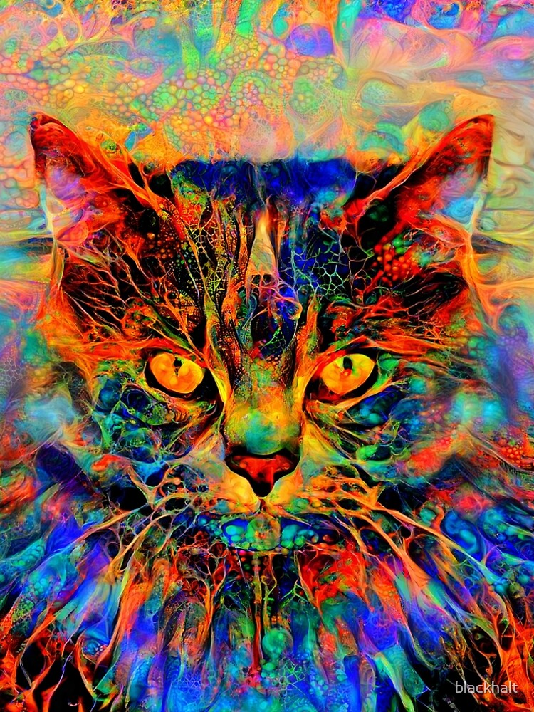 Abstractions of abstract abstraction of cat by blackhalt