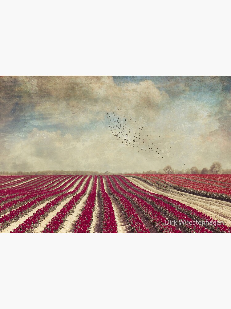 Thumbnail 3 of 3, Canvas Print, blooming - field of red tulips designed and sold by Dirk Wuestenhagen.