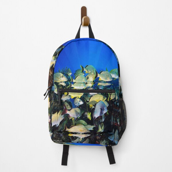 Item preview, Underwater Photography by John Schwalbe designed and sold by Sharon Schwalbe.