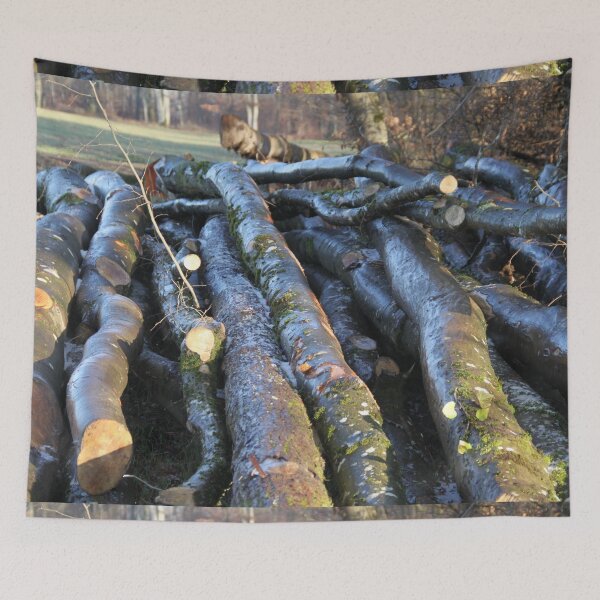 Item preview, Pile of wet hardwood logs in the forest	 designed and sold by EstelleRossetti.