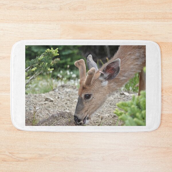 Item preview, Wild black-tailed deer designed and sold by SDym Photography.