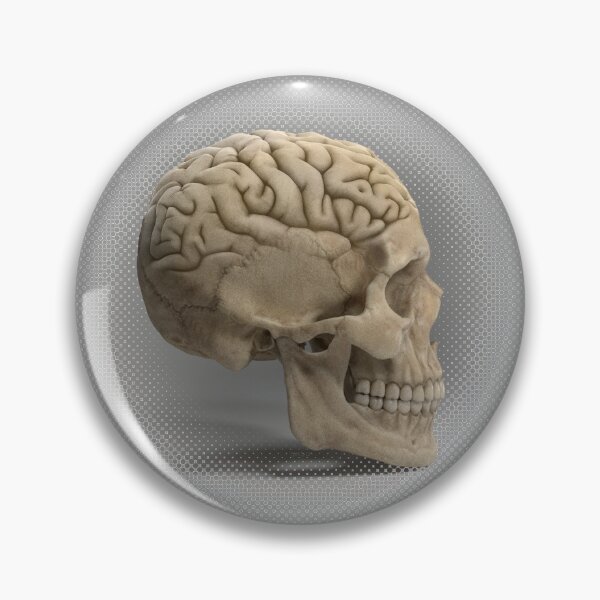 Item preview, skullbrain (skull with brain) 01a designed and sold by Radu-Gabriel.