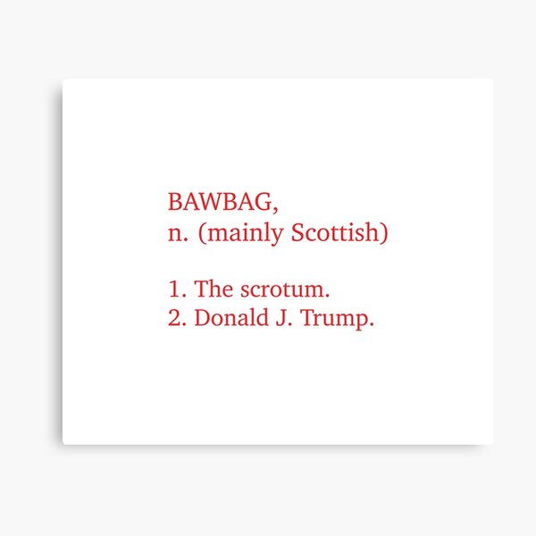 POTUS 45 ... BAWBAG. Canvas Print