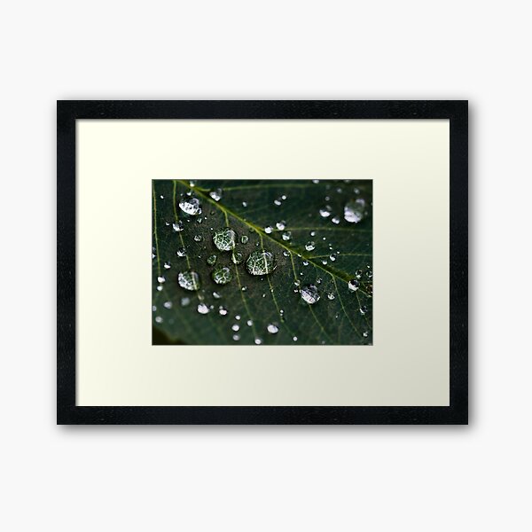 Item preview, Leaf Drops designed and sold by MPowerTeez.