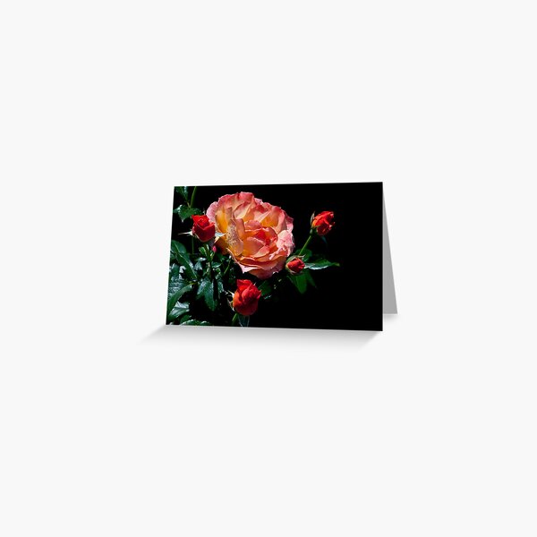Light Family! Greeting Card