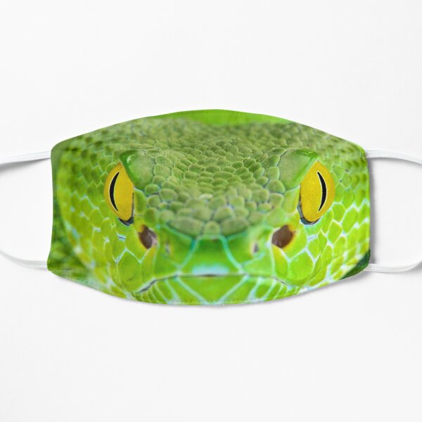 Green Snake Mask