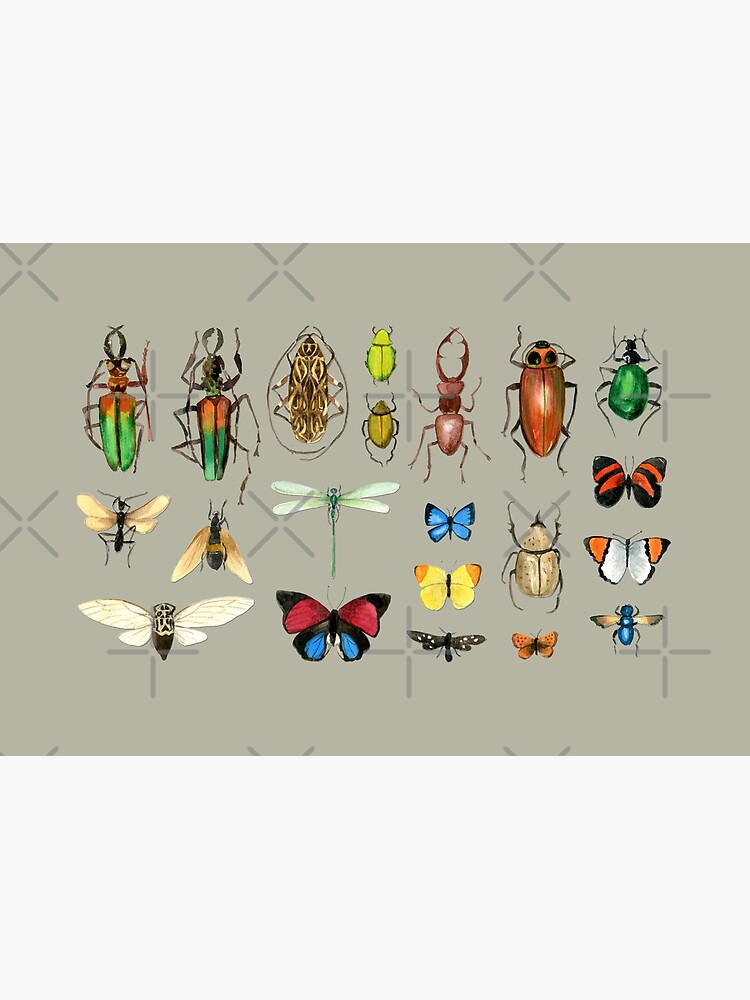 The Usual Suspects - Insects on grey - watercolour bugs pattern by Cecca Designs by Cecca-Designs